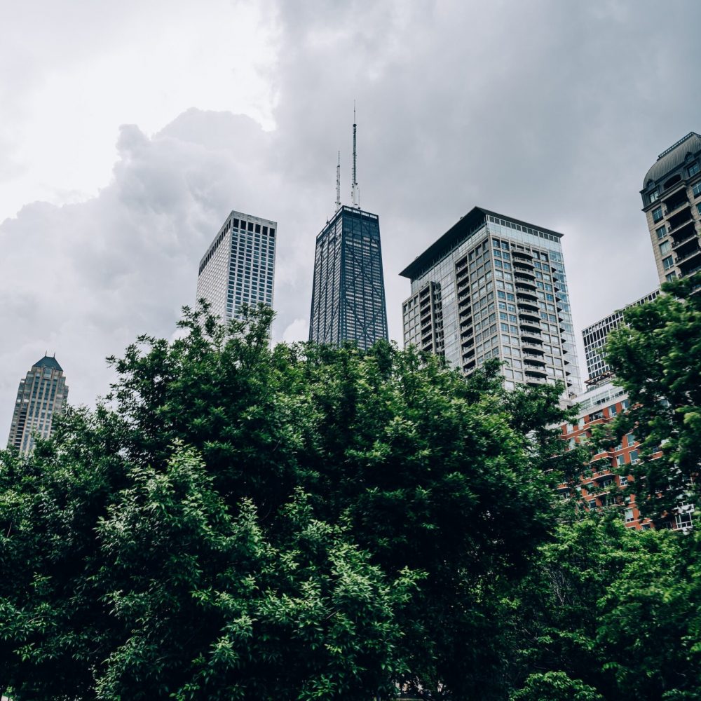 pexels-ricardo-esquivel-2555996
